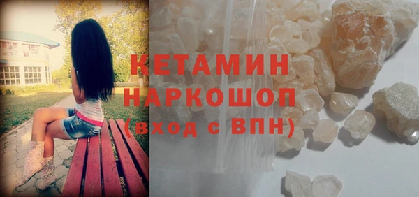 шишки Арсеньев