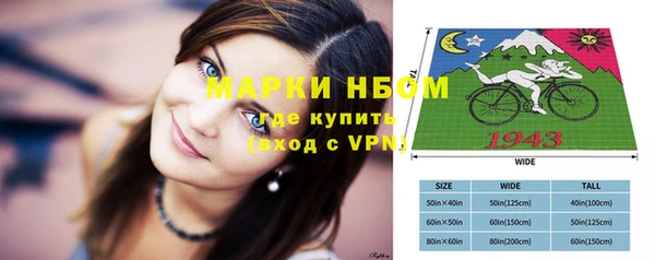 шишки Арсеньев