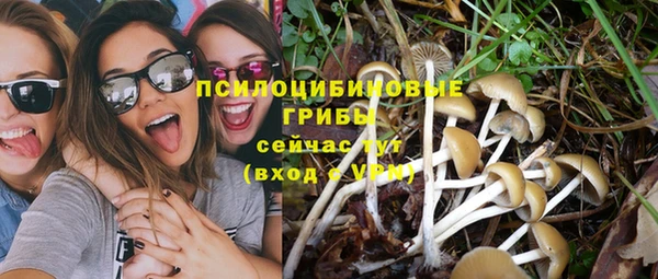СК Аркадак