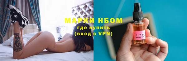 шишки Арсеньев
