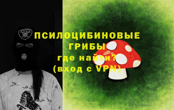 СК Аркадак