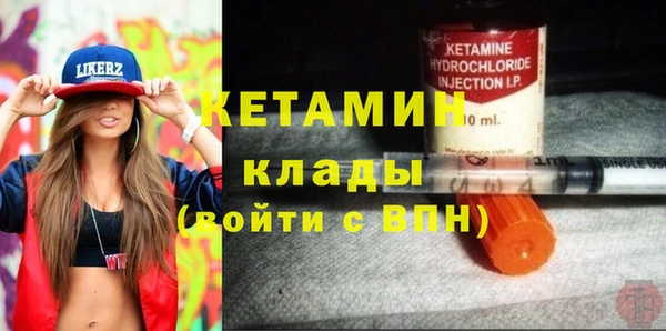 шишки Арсеньев